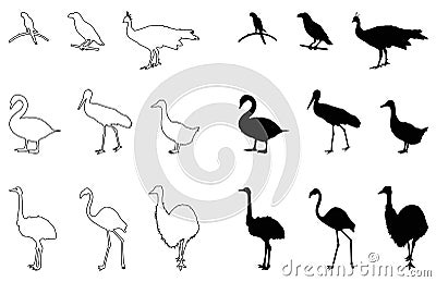 Various birds silhouette - group of endothermic vertebrates, characterised by feathers, toothless beaked jaws, the laying of hard- Vector Illustration