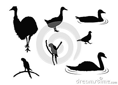 Various birds silhouette Vector Illustration