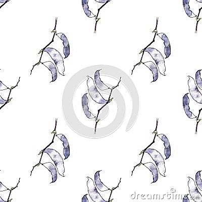 Various black beans with botanical element branch seamless pattern. Pods of lilac dolichos in a realistic colorful style on a Stock Photo