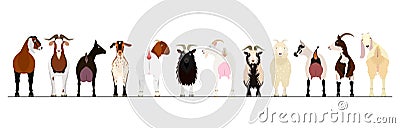 Various breeds of goats border Vector Illustration