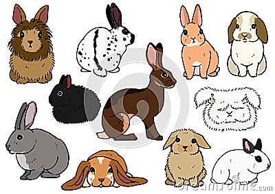 Various breeds of rabbits Vector Illustration