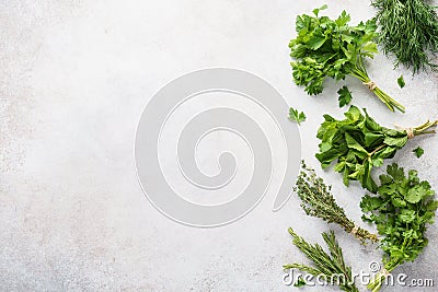 Various bundles of fresh herbs on gray background Stock Photo