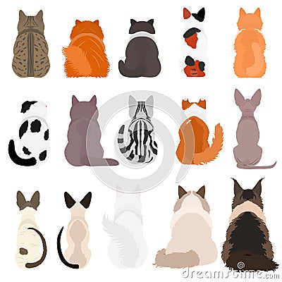 Various cat breeds from behind bundle Stock Photo