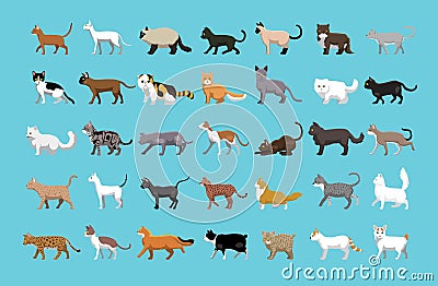 Various Cats Side View Cartoon Vector Illustration Vector Illustration