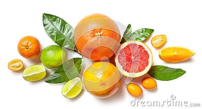 Various citrus fruits on white background Stock Photo