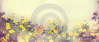 Various colorful spring flowers in sunlight, blur, banner web site, border Stock Photo