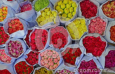 Various colour of carnation flowers in bulk at Flower Market Stock Photo