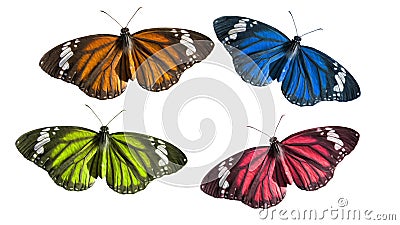 Various coloured butterflies illustrated with oil paint effect isolated on white background Stock Photo