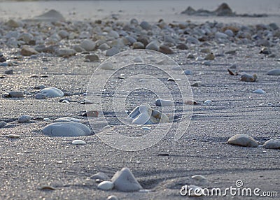 Various coloured pebbles on a beach Stock Photo