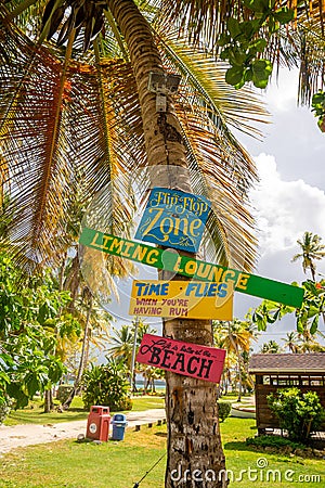 Various colourful beach signs on the palm tree in the beach Editorial Stock Photo