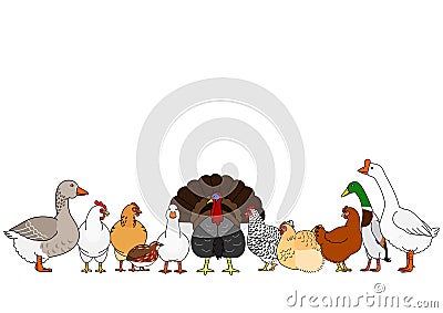 Cute poultry in a row Vector Illustration