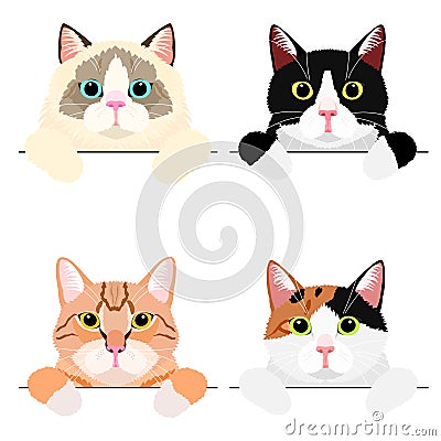 Various cute cat banner set Vector Illustration