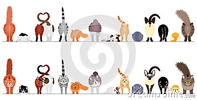 Various cute cats border in a row, front view and rear view Vector Illustration
