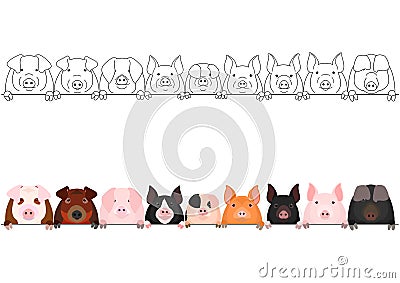 Various domestic pigs face in a row Vector Illustration