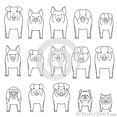 Various domestic pigs line art set Vector Illustration