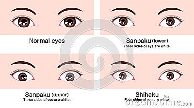 Various eye shapes different eyeball size and position vector illustration Classifications in Asia Vector Illustration