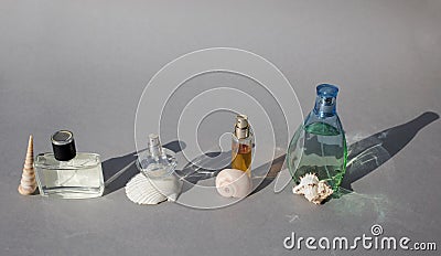 Various female and male perfume bottles with interesting shells on gray background with hard shadows standing in row Stock Photo