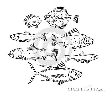 Various fish set. Seafood, fishing sketch vector illustration Vector Illustration