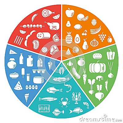 Various food groups in color segments. Meat, seafood, dairy products, vegetables and fruits Vector Illustration