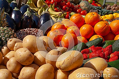 Various fresh biological vegetables and fruits Stock Photo