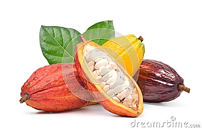 Various of Fresh cocoa fruits with half sliced Stock Photo