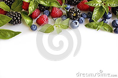 Various fresh summer berries on white background. Ripe raspberries, blackberries, blueberries, mint and basil leaves. Stock Photo