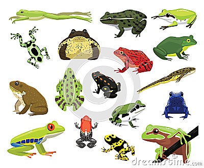 Various Frogs Cartoon Vector Illustration Vector Illustration