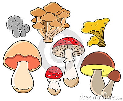 Various fungi collection Vector Illustration