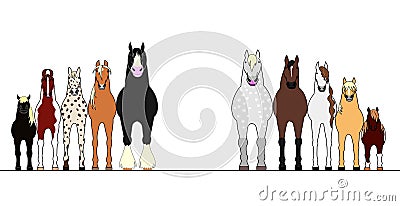 Various horses lining up in height order Vector Illustration