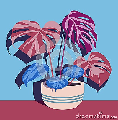 Various indoor plants in single pot on blue wall Stock Photo