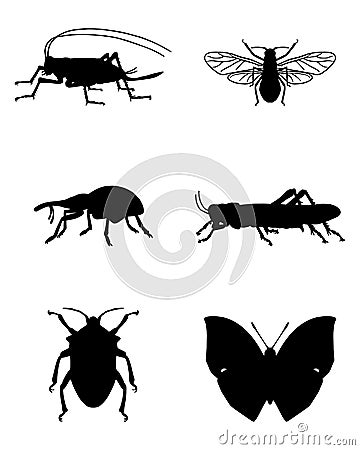 Various insects Vector Illustration