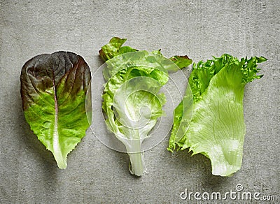 Various kinds of lettuce Stock Photo