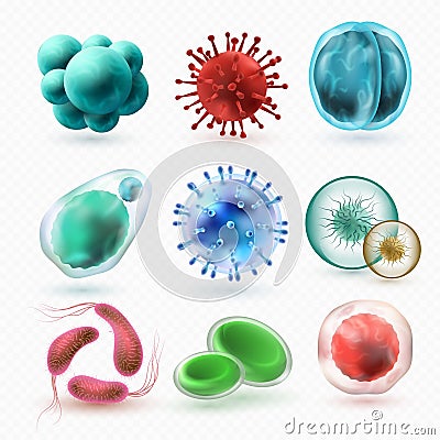 Various microscopic 3d bacteria and viruses. Microbiology vector bacterium cells isolated Vector Illustration