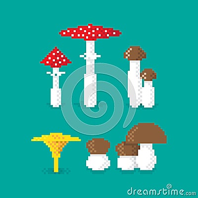Various pixel Mushroom Vector Illustration