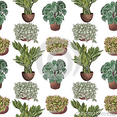 Various potted plants seamless pattern. Houseplants background Stock Photo