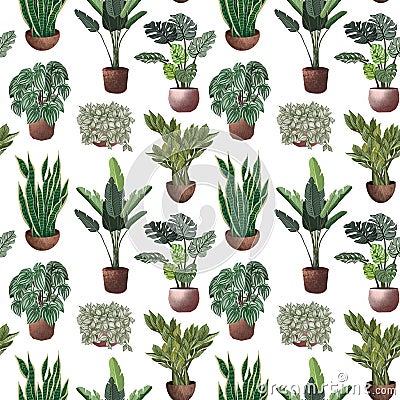 Various potted plants seamless pattern. Houseplants background Stock Photo