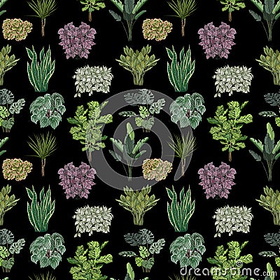 Various potted plants seamless pattern. Houseplants background Stock Photo