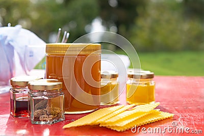 Various products such as propolis, honey wax plates against blurred background Stock Photo