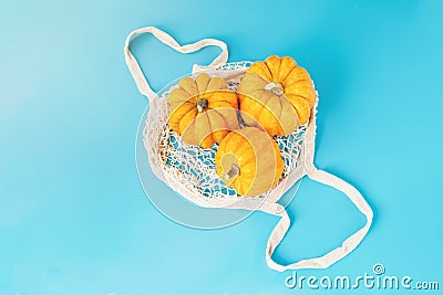 Various of pumpkins in a basket on a blue background.Autumn vegetables.Composition of different varieties of pumpkins Stock Photo