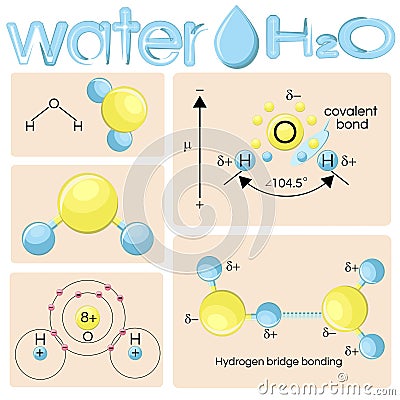 Various representations of water molecule H2O. Vector Illustration