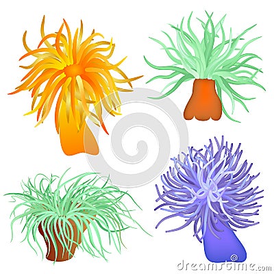 Various sea anemones Vector Illustration