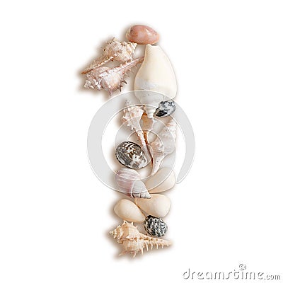 Various sea shells number 1 on white background Stock Photo