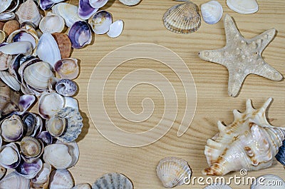 Round frame of many seashells on wooden background Stock Photo