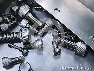 Various Sizes of Stainless Steel Socket Head Screw in Matallic Drawer Stock Photo