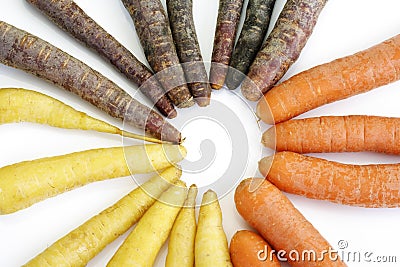 Various sorts of carrots, purple, yellow, white Stock Photo