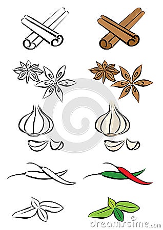 Various spices Vector Illustration