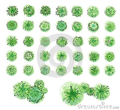 Various trees, bushes and shrubs, top view for landscape design plan. Vector illustration, isolated on white background. Vector Illustration