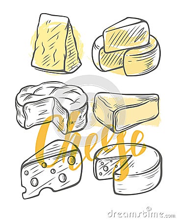 Various types of cheese Vector Illustration