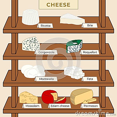 Various types of Chesse Vectore Collection Vector Illustration