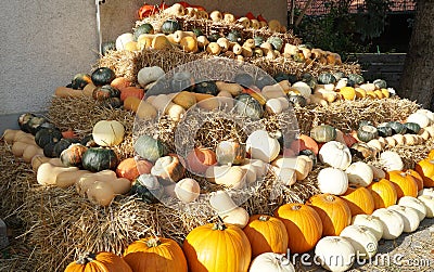 Various types of edible pumpkins or squashes arranged in rows on a pyramid made of straw cubes on a farm. Stock Photo